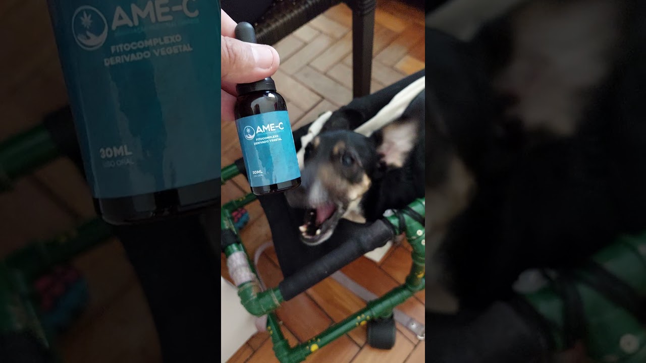 &Oacute;leo de Cannabis da Cinquentinha