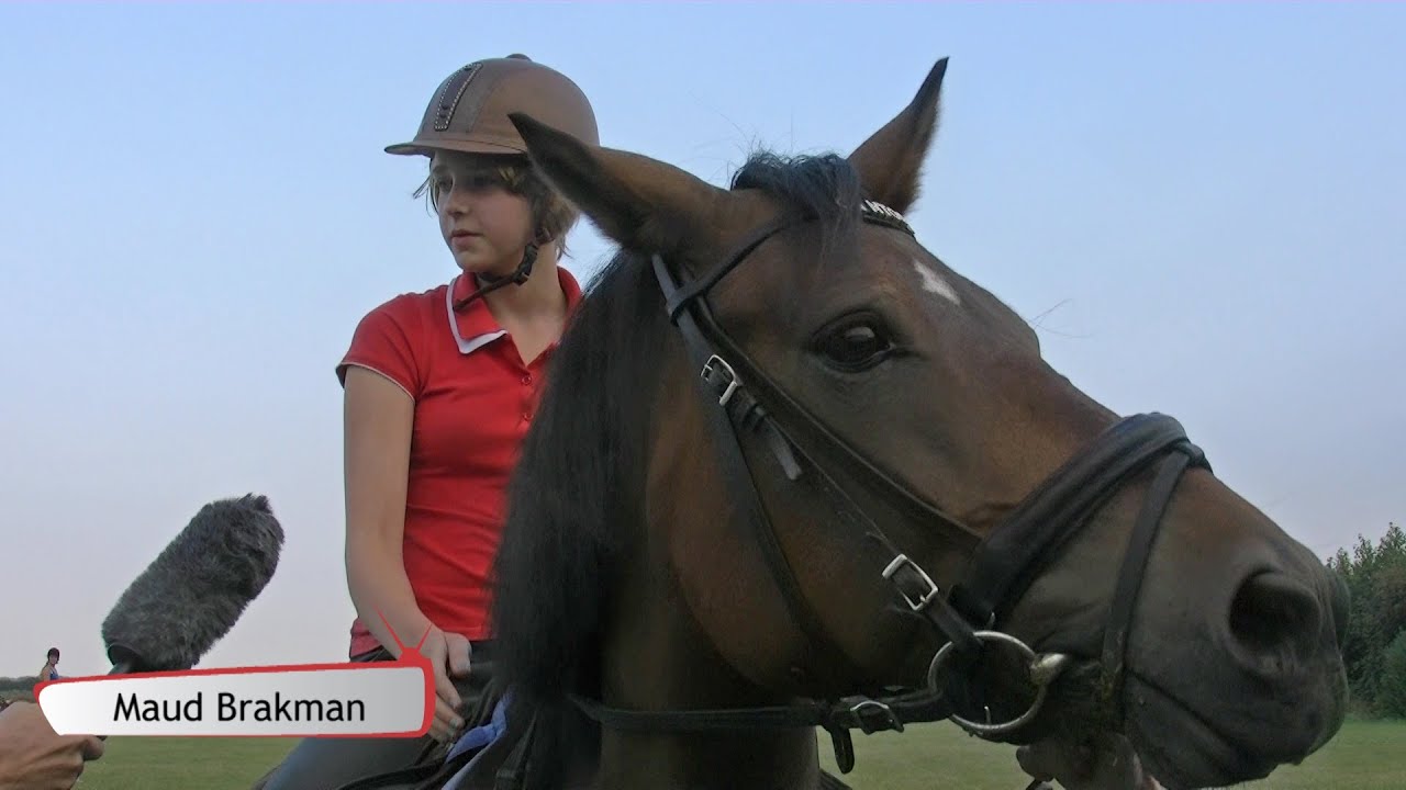 Strandrit met paarden in Nieuwvliet