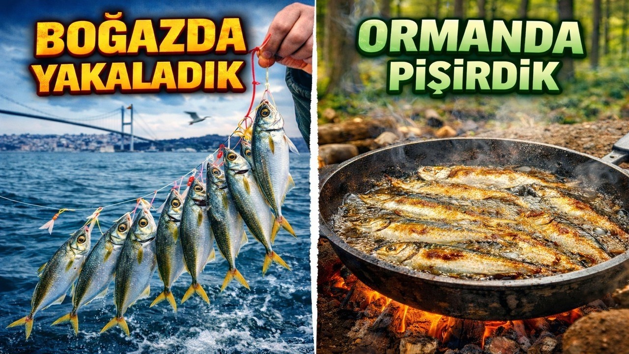 BOĞAZDA YAKALADIK, ORMANDA PİŞİRDİK! I BOYACIKÖY'DE İSTAVRİT AVI