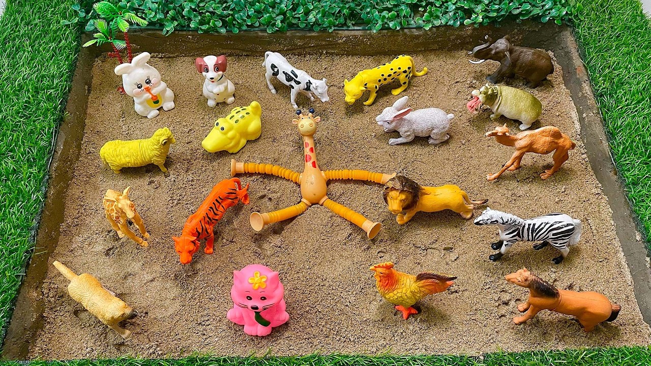 How BIG Are Wild Animals? | Giant Animal Adventure for Toddlers