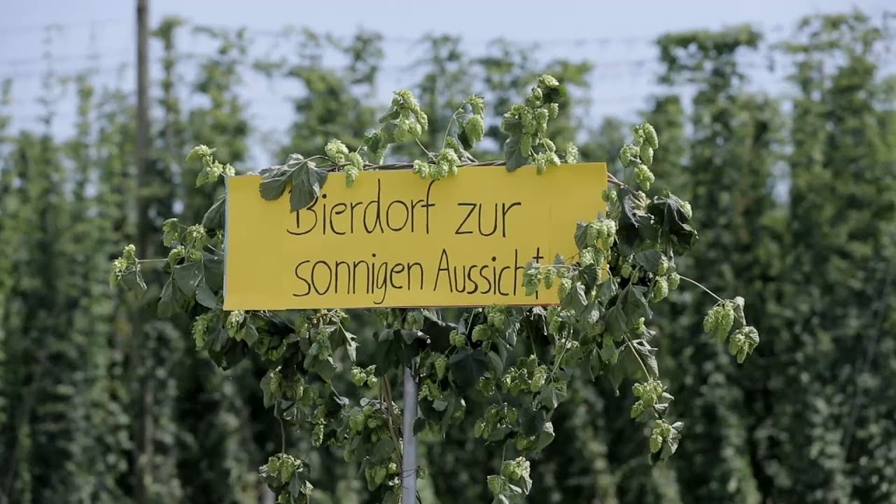 3. Bierdorf - Biervorstellung (Virtueller Tettnanger Hopfenwandertag 2020)