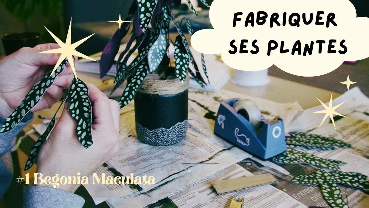 🌱 Fabriquons des plantes en papier  🌱