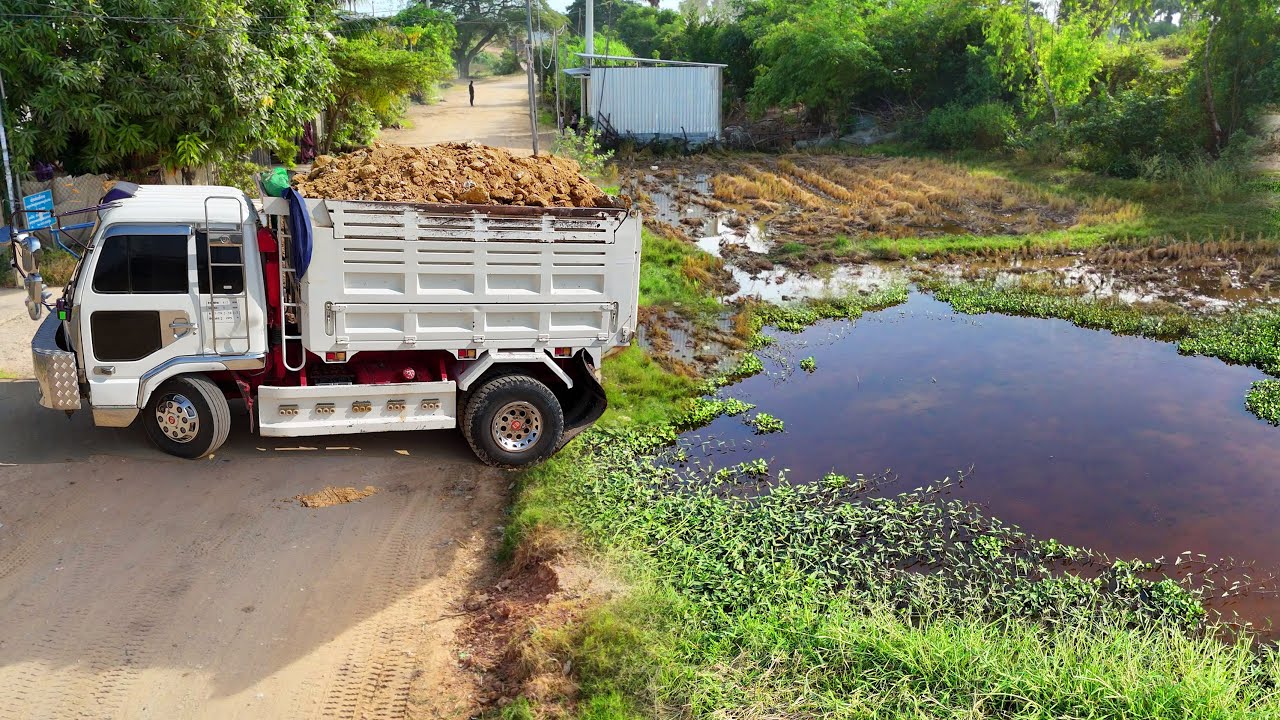 OM.G! New Landfill Task! Be Aware! Dump Truck 5-Ton Pour Soil Flooded Land, Dozer Push Soil, Mix VDO