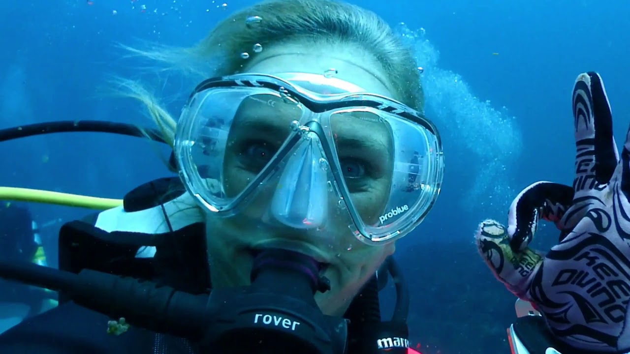 Diving 9 mile reef of Tweed Heads Queensland, Australia