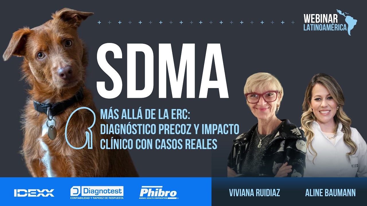 🇪🇸🟡 SDMA - Más allá de la ERC: diagnóstico precoz y casos reales | IDEXX Webinar