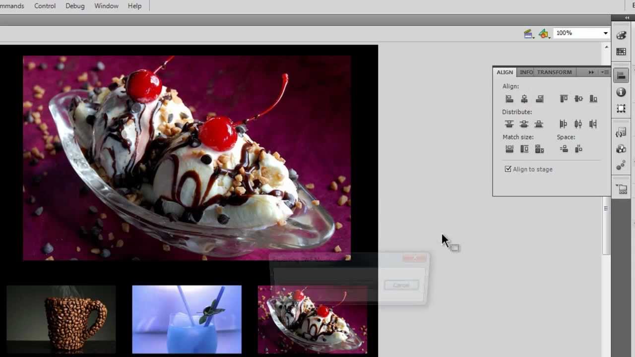 Flash Tutorial : Thumbnail driven Simple Image Gallery