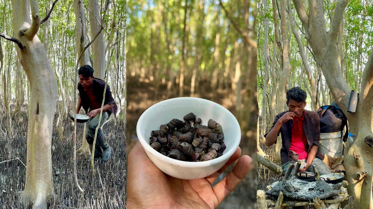 រកខ្យងចាក់ច្រែងសមុទ្រ ធ្វើម្ហូបហូបភ្លាមៗ