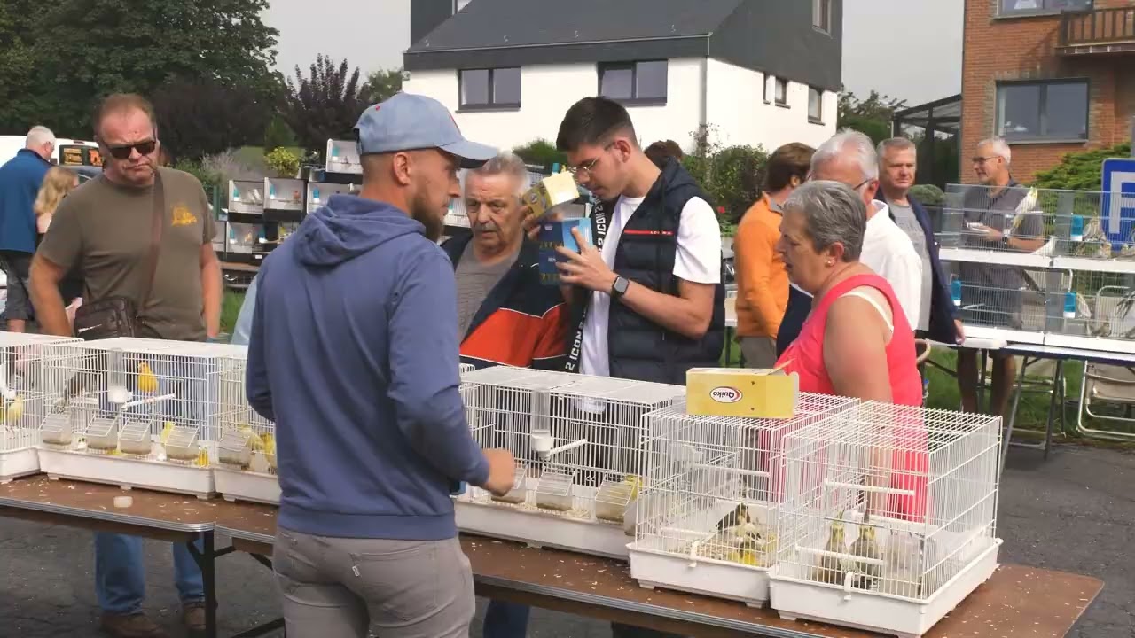 Bourse Aux Oiseaux 2023 Ornibird