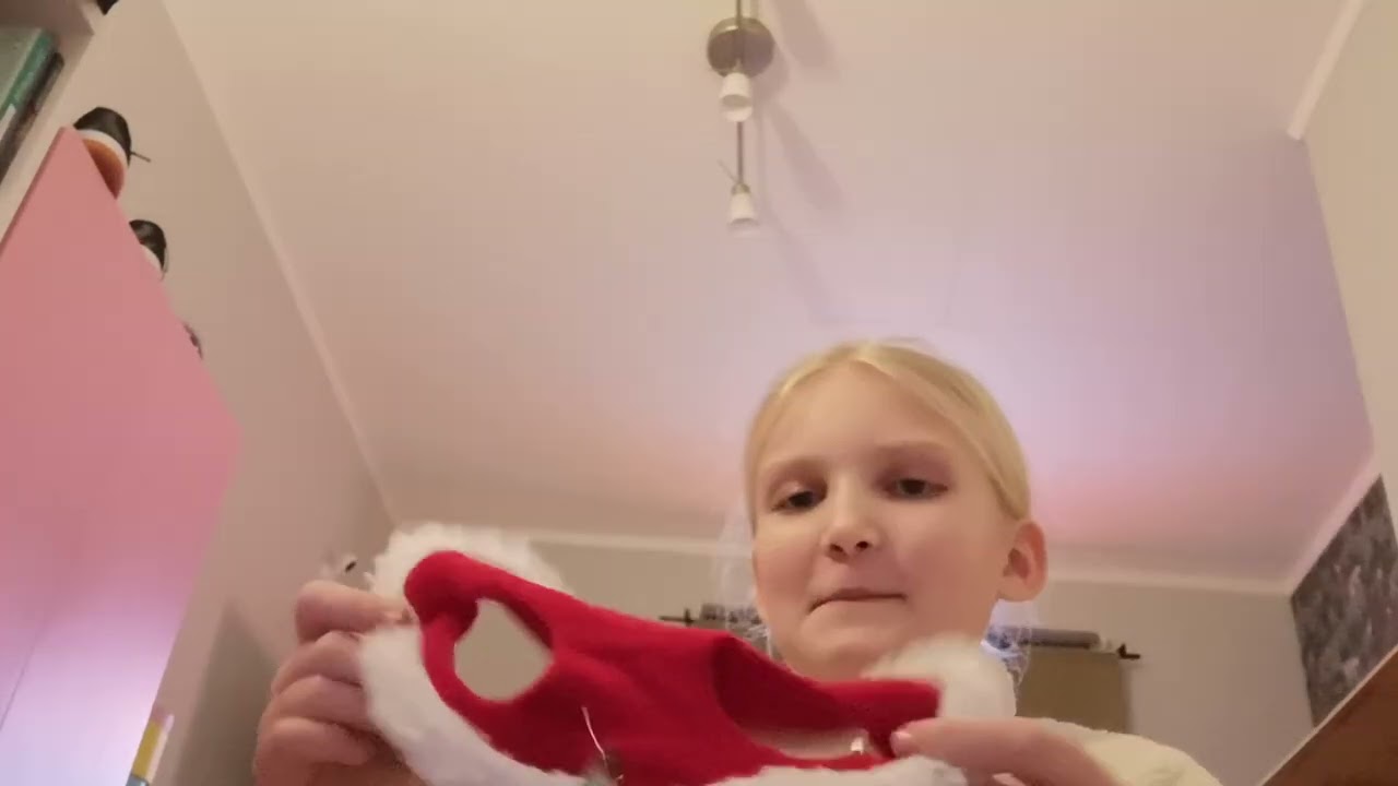 Visar vad jag köpt till käpphästarna.