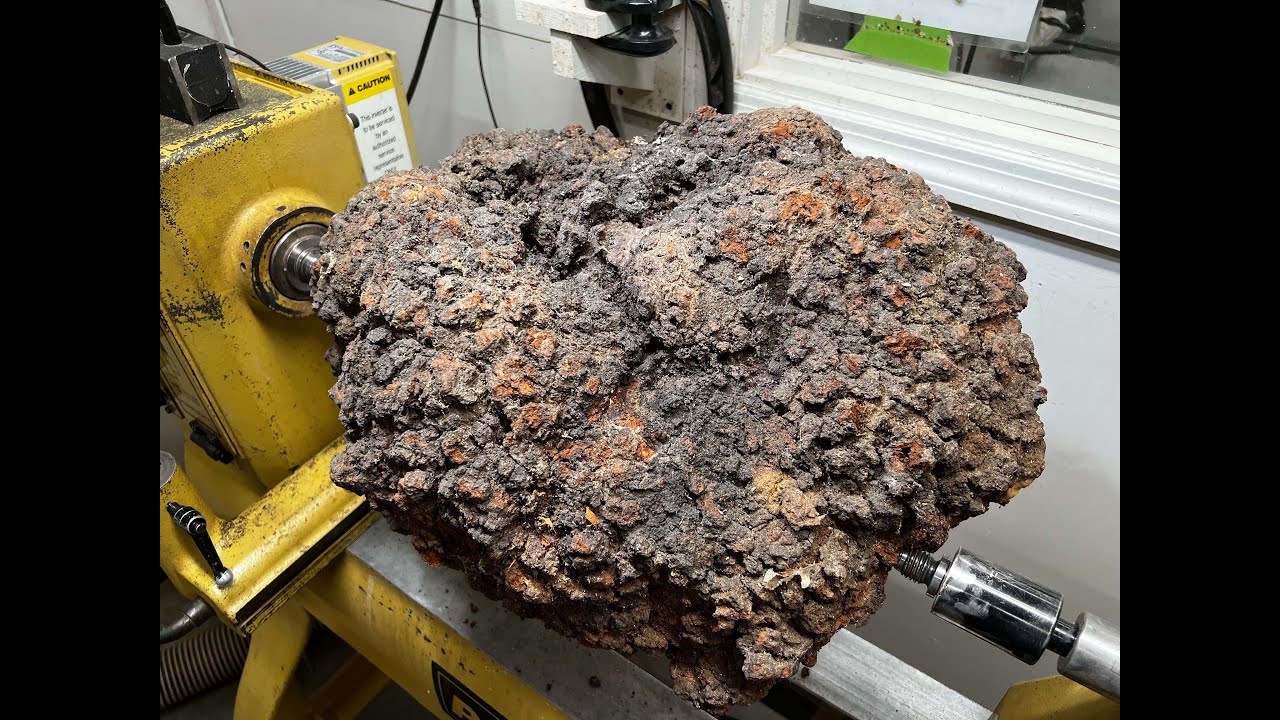 Cherry Burl Transformation — Wild Grain and Organic Form