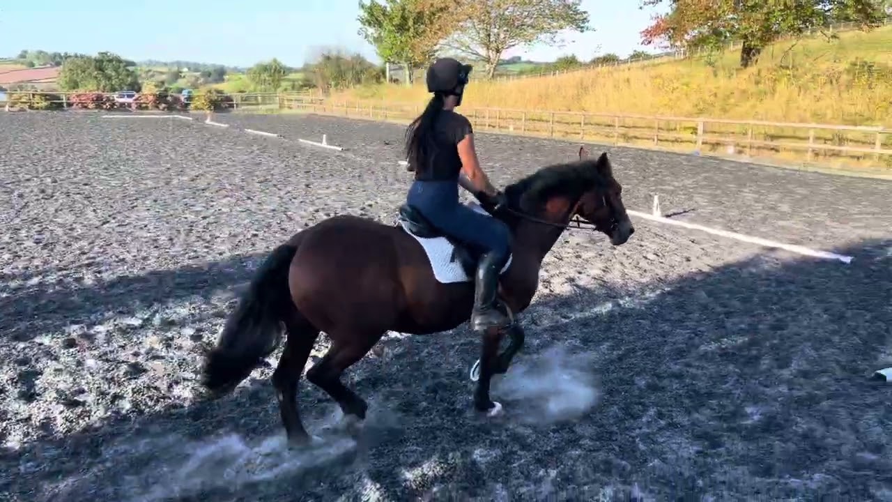 Stephanie Francis riding Frankie September BD Intro 1 2024