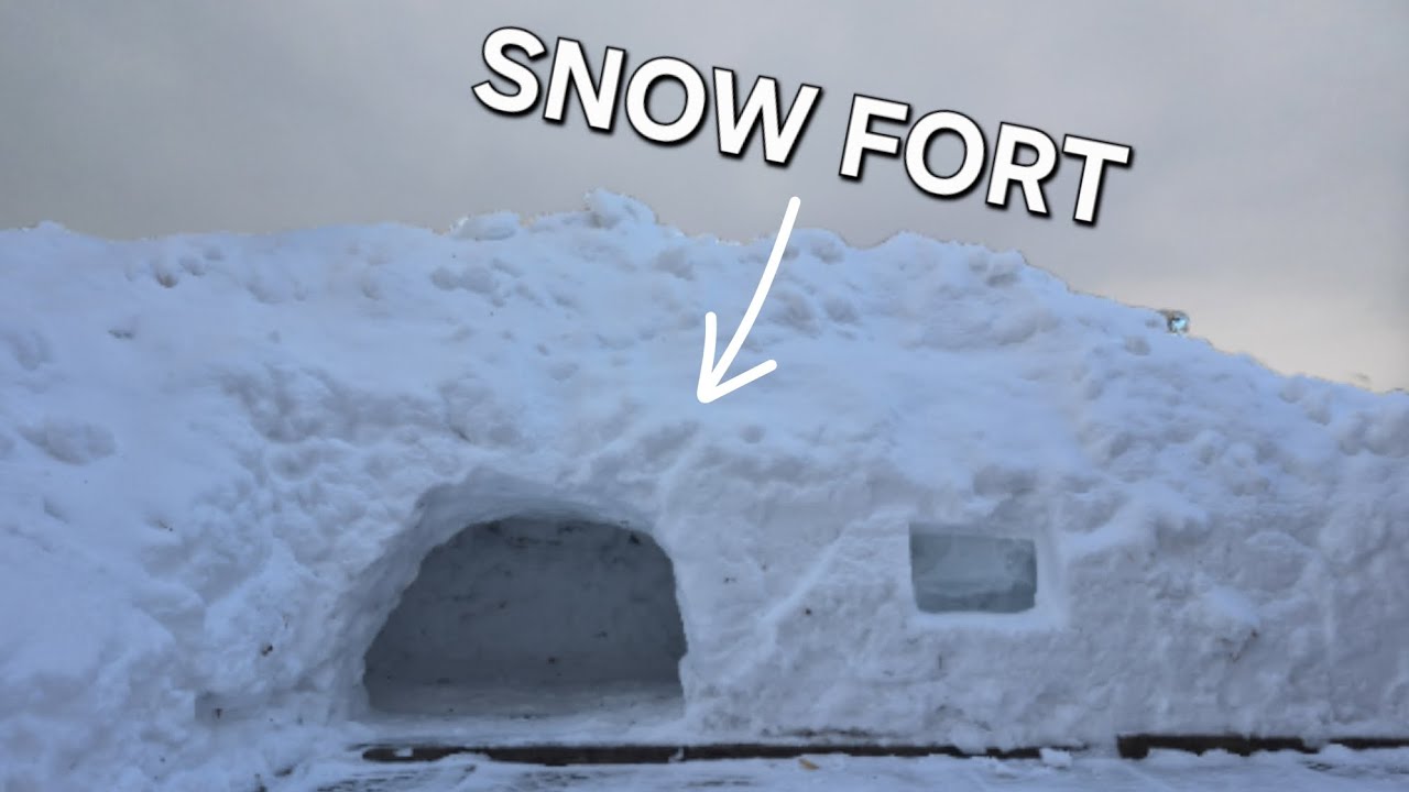 I build a snow fort out of a big pile of snow.
