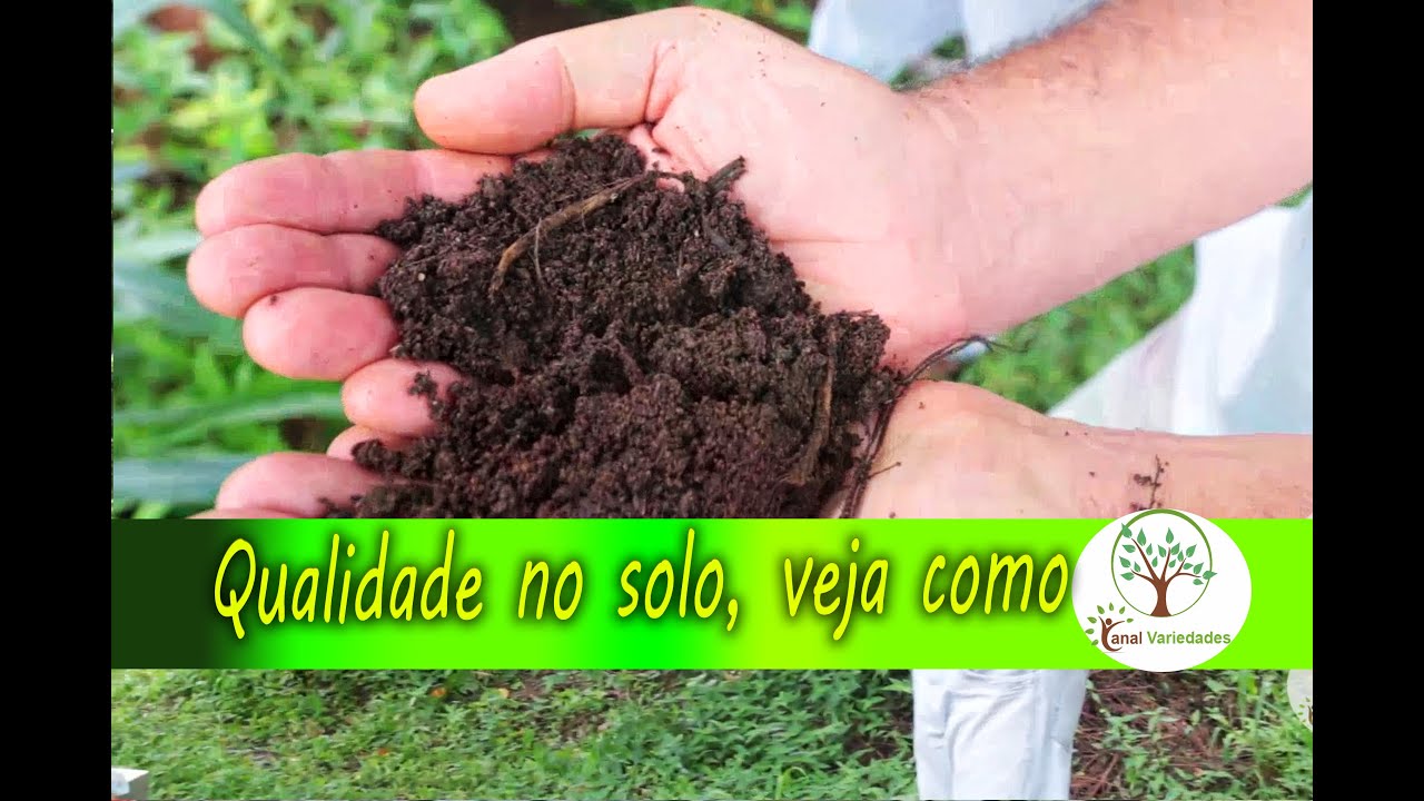 Como Adubar seu Pomar de forma Correta com Sergio Semerdijan