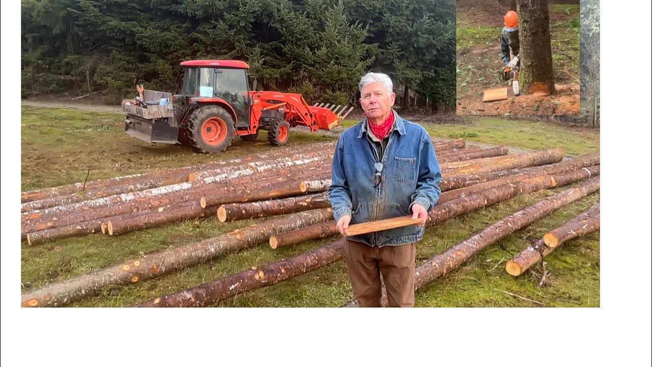 Selective Thinning, Douglas Fir, Oregon