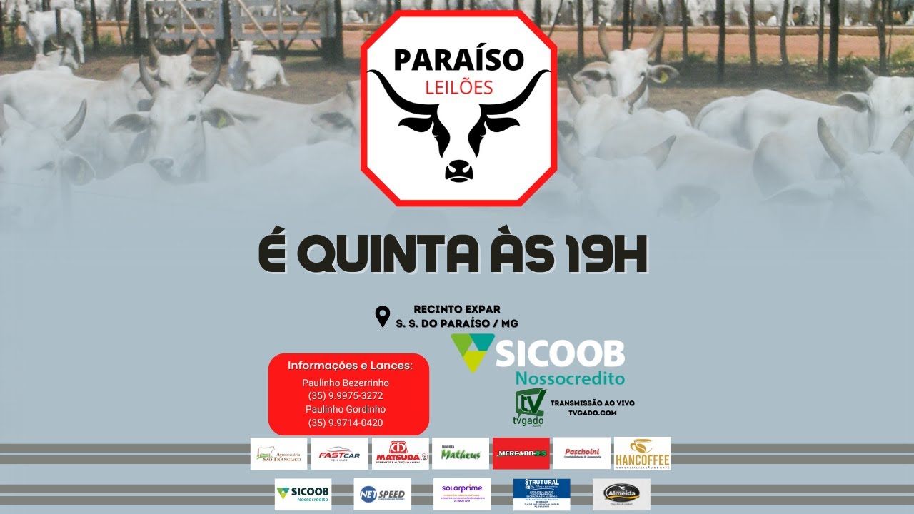 🎥 Leilão Presencial e Virtual Paraíso Leilões 🎬 tvgado.com.br