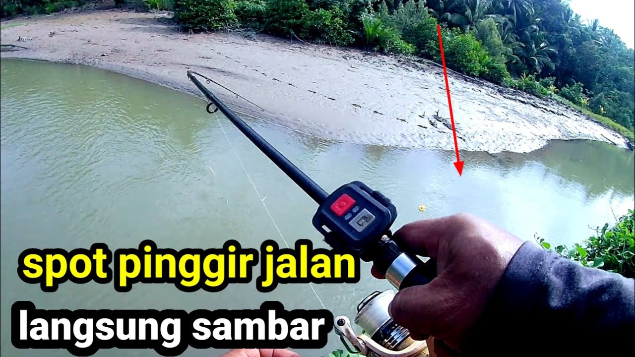 PREDATOR GIGI TAJAM DI SPOT PINGGIR JALAN || mancing mangrove jack umpan udang hidup