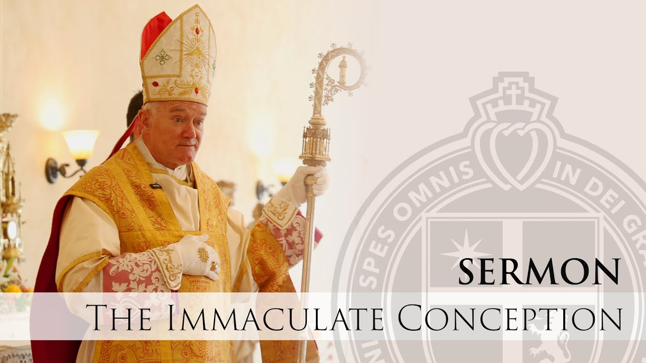 Sermon - Plentitude of Grace - His Excellency Bishop Fellay - Immaculate Conception
