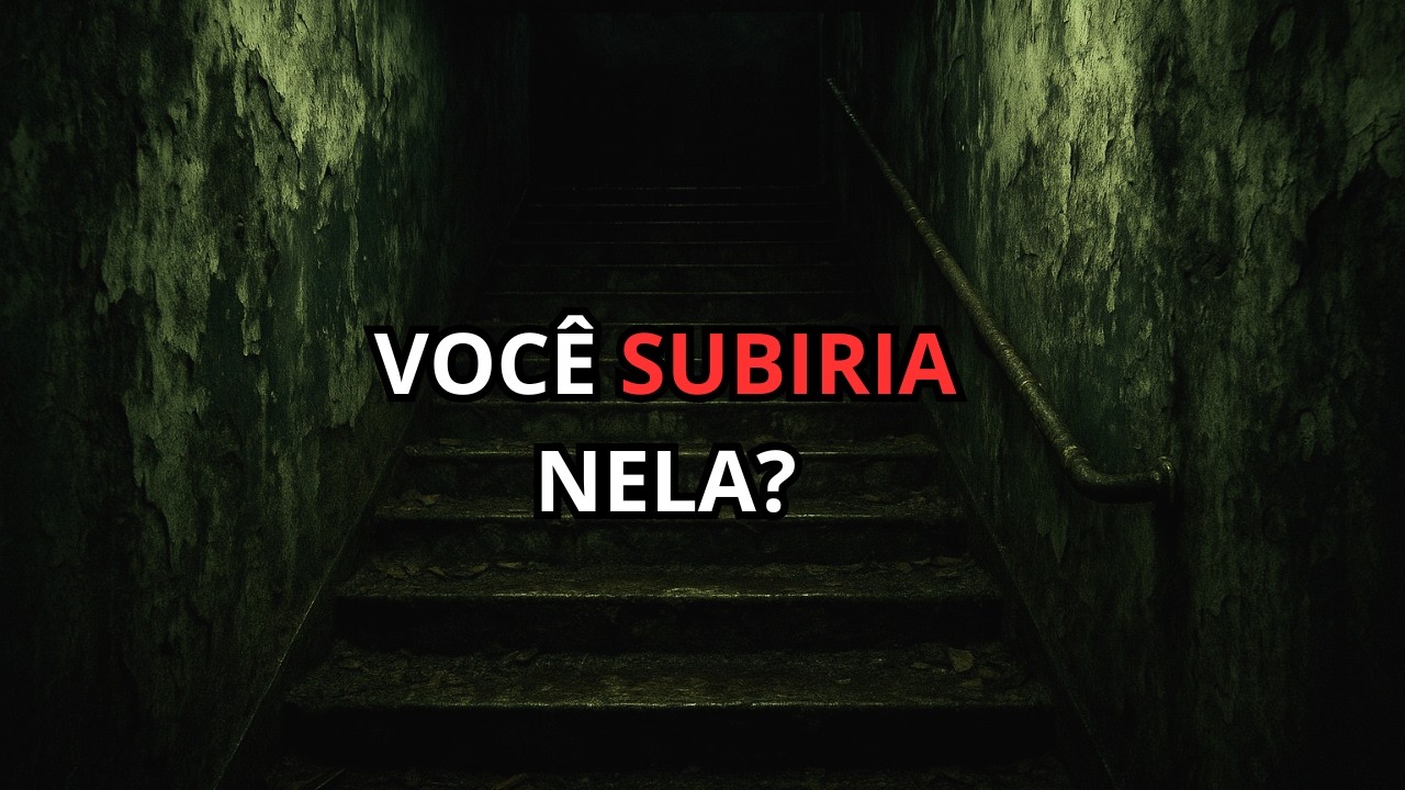 Essas escadas ficam APARECENDO na floresta, o que elas são?