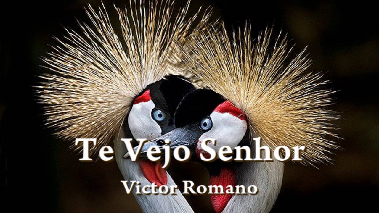 TE VEJO SENHOR  - Victor Romano