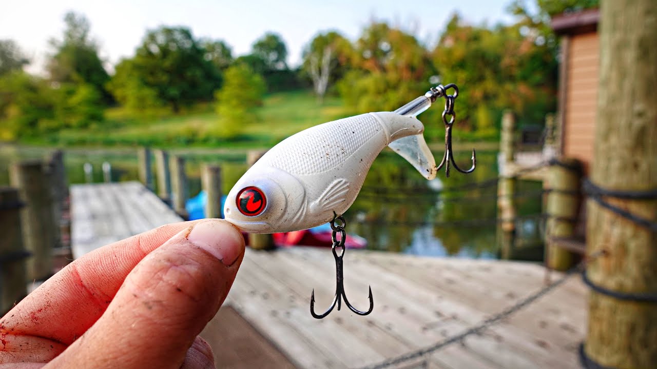 I CAN'T BELIEVE What Ate This.. IT ACTUALLY WORKED!!! (Topwater Monster)