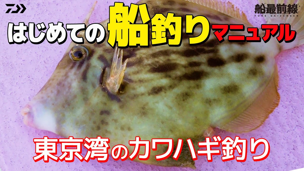【カワハギ入門】はじめての船釣りマニュアル～東京湾のカワハギ釣り～ ｜ 船最前線
