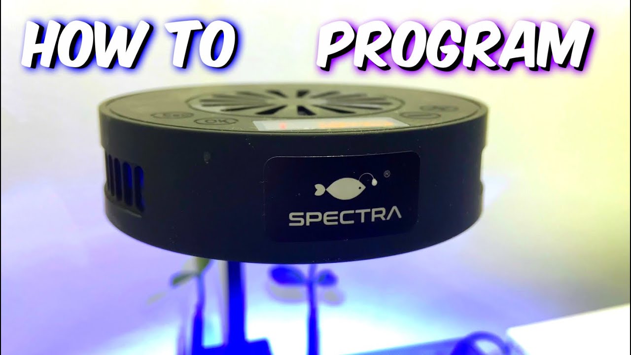 Spectra Aqua Knight V2 | Как запрограммировать * ваш таймер Coral Light — A1A Adventures