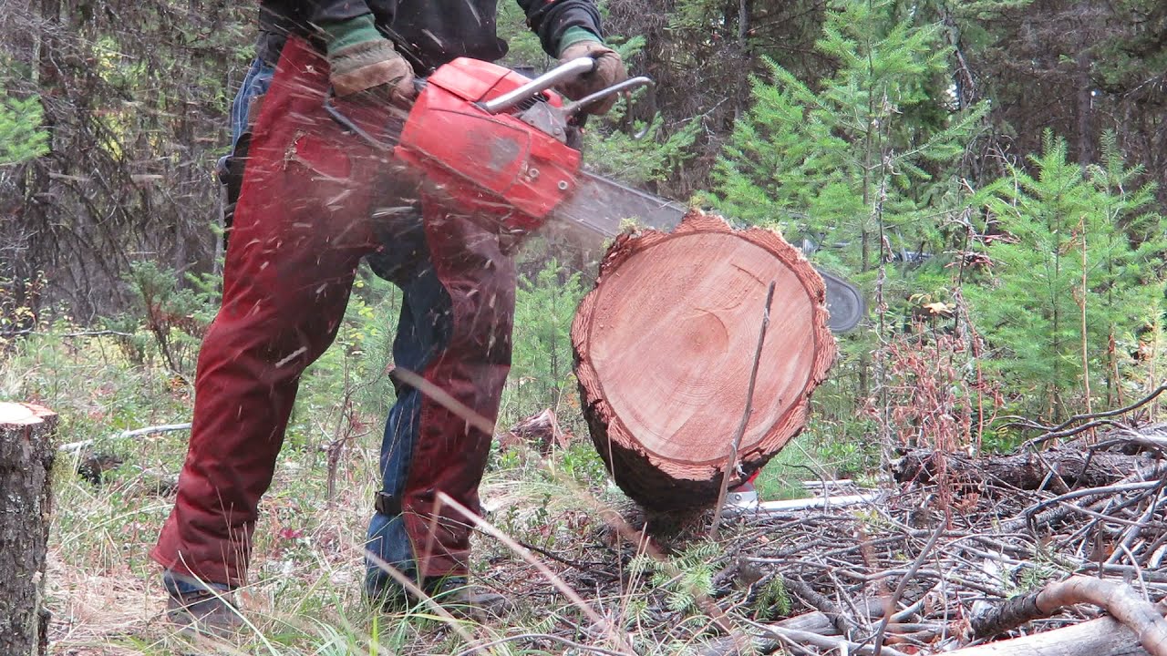 Husqvarna L77 - Erratic Ignition vs Firewood