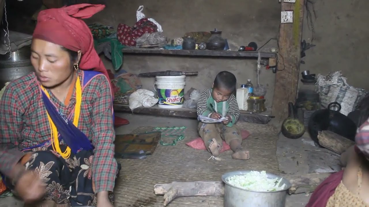 Myvillage official videos EP 269 || Traditional village life