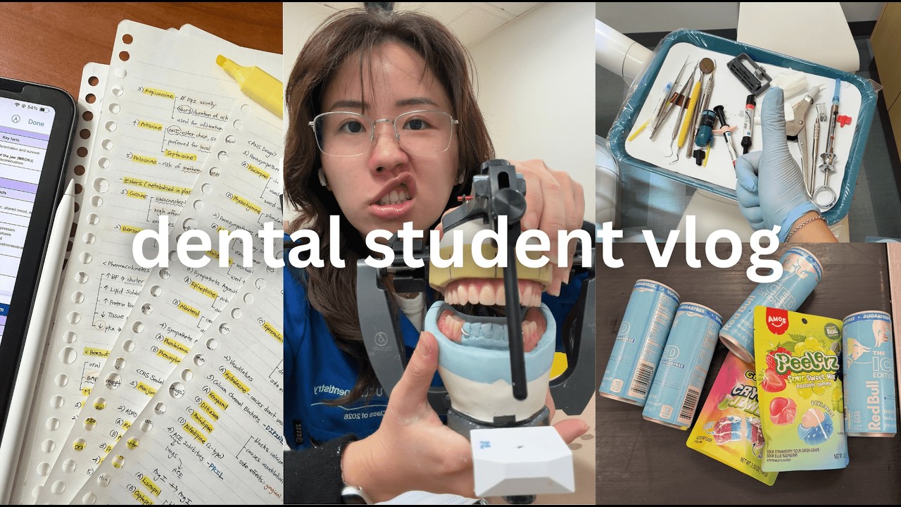 realistic dental student study vlog