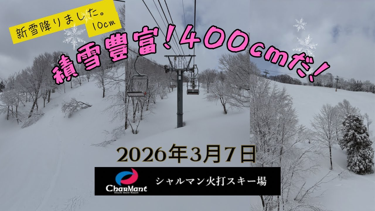 [#シャルマン火打 ]積雪400cmだ！新雪だ！シャルマン火打スキー場2026年3月7日