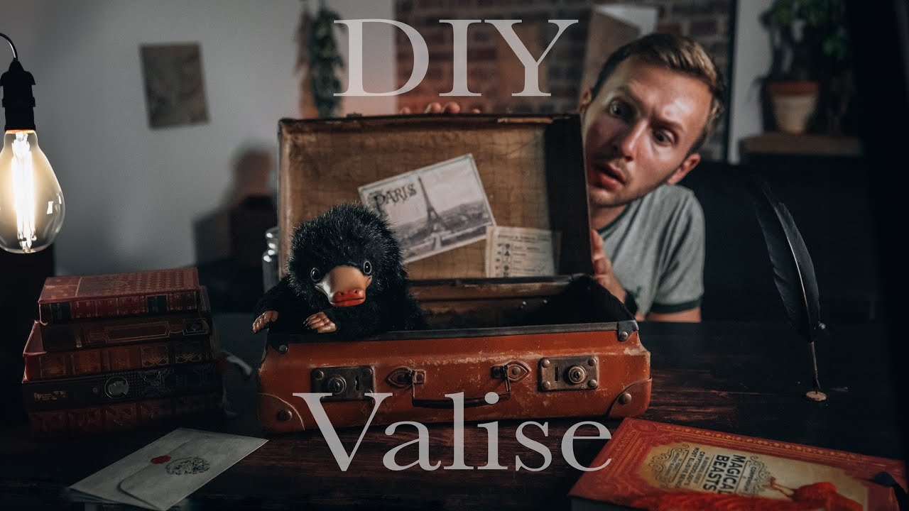 DIY Valise de Norbert Dragonneau les animaux fantastiques / Harry potter