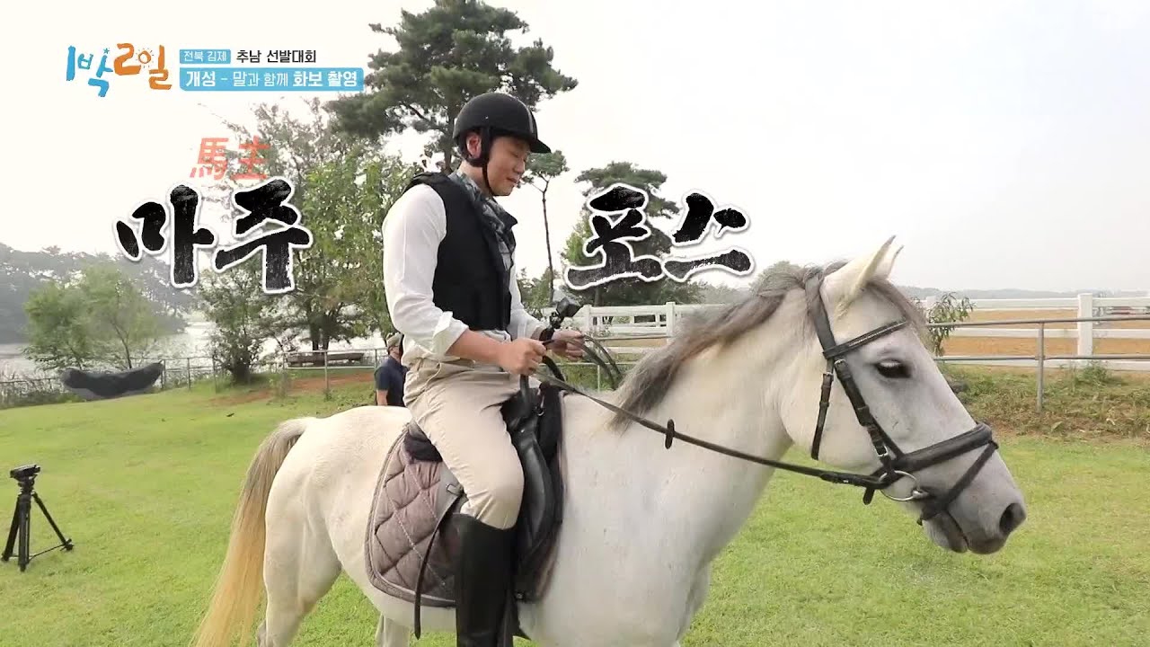 누가 버카랬어? 츳~ 한 마디로 백마를 길들이는 남자! 믓찌다 정후니 형! [1박 2일 시즌4/Two Days and One Night 4] | KBS 211017 방송