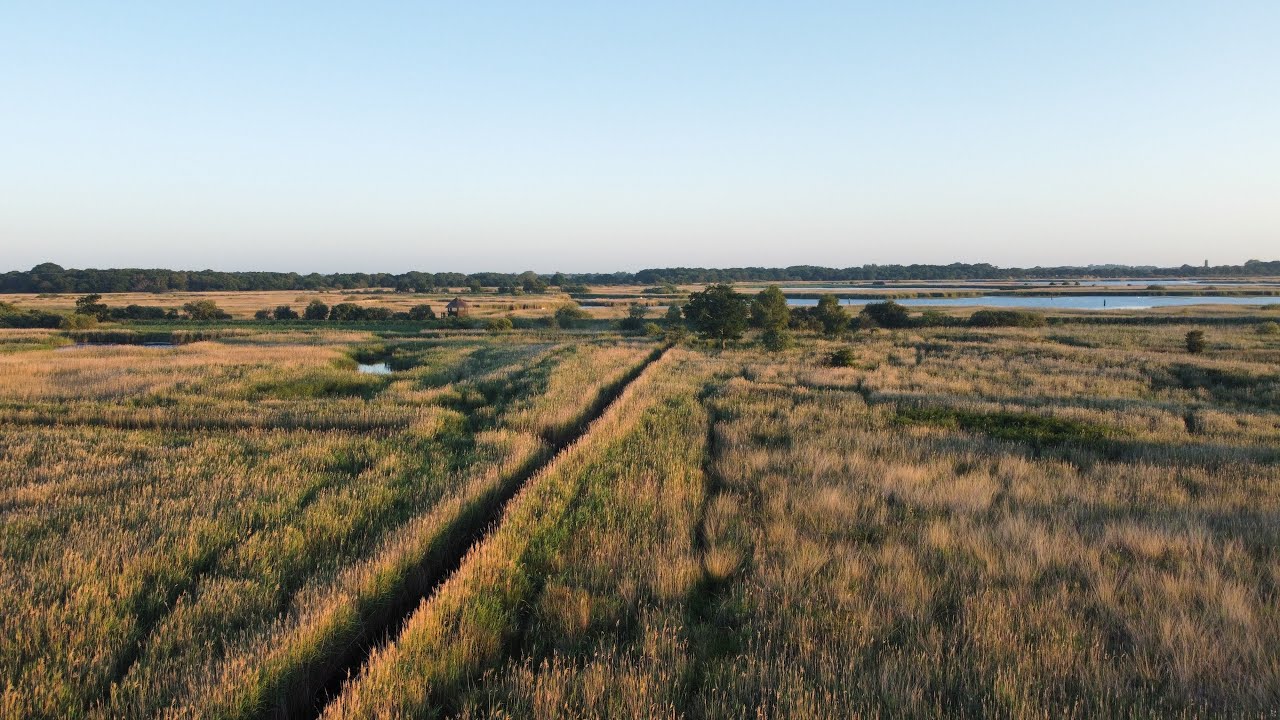 Hickling Broad | Norfolk Wildlife Trust