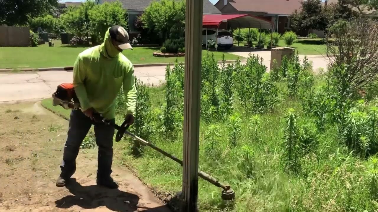 Super tall front lawn transformation 