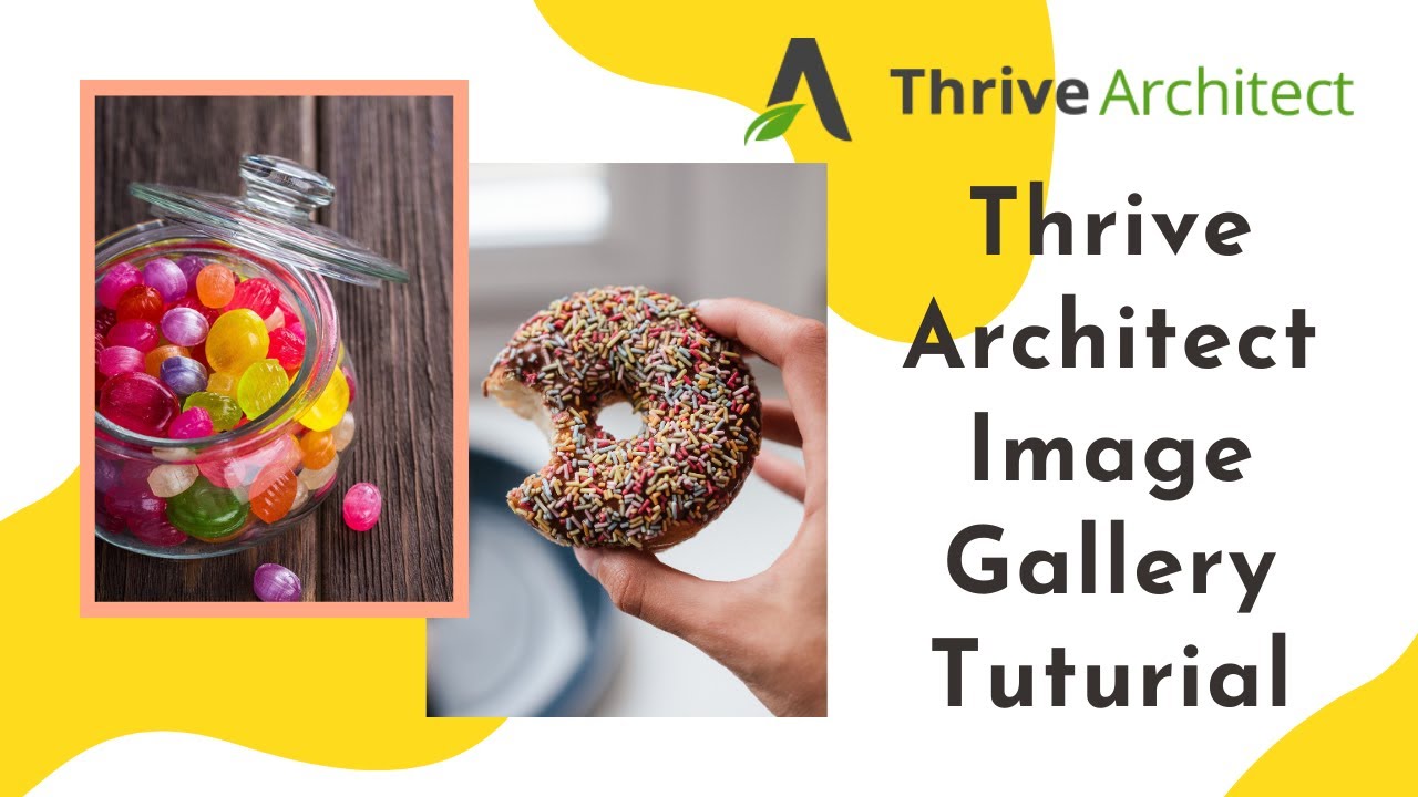 How to add an Image Gallery in Thrive Architect Tutorial