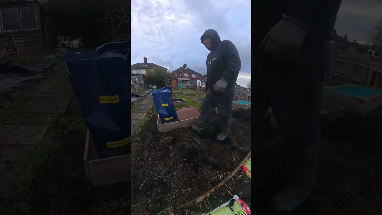 Allotment, grass seeding to make less maintenance. Just mow once a week 