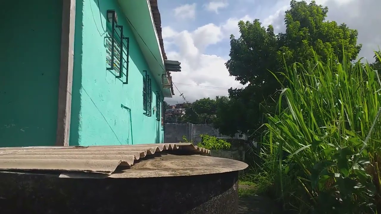 Botei o sibite na gaiola Grande na mexida