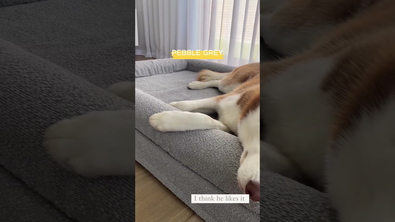 The Pinnacle of Comfort: Memory Foam Dog Bed with a Washable Boucle' Cover! #dogbed #dog #design