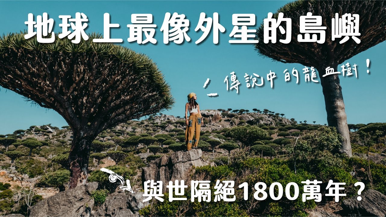 終於見到傳說中的龍血樹！地球上最像外星的小島 - 葉門 Socotra Island Vlog