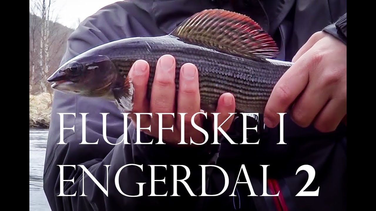 Fluefiske i Engerdal (Episode 2)