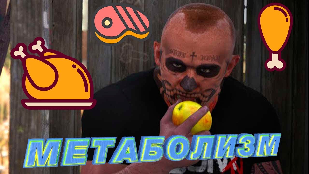 SCUM ГАЙД МЕТАБОЛИЗМ