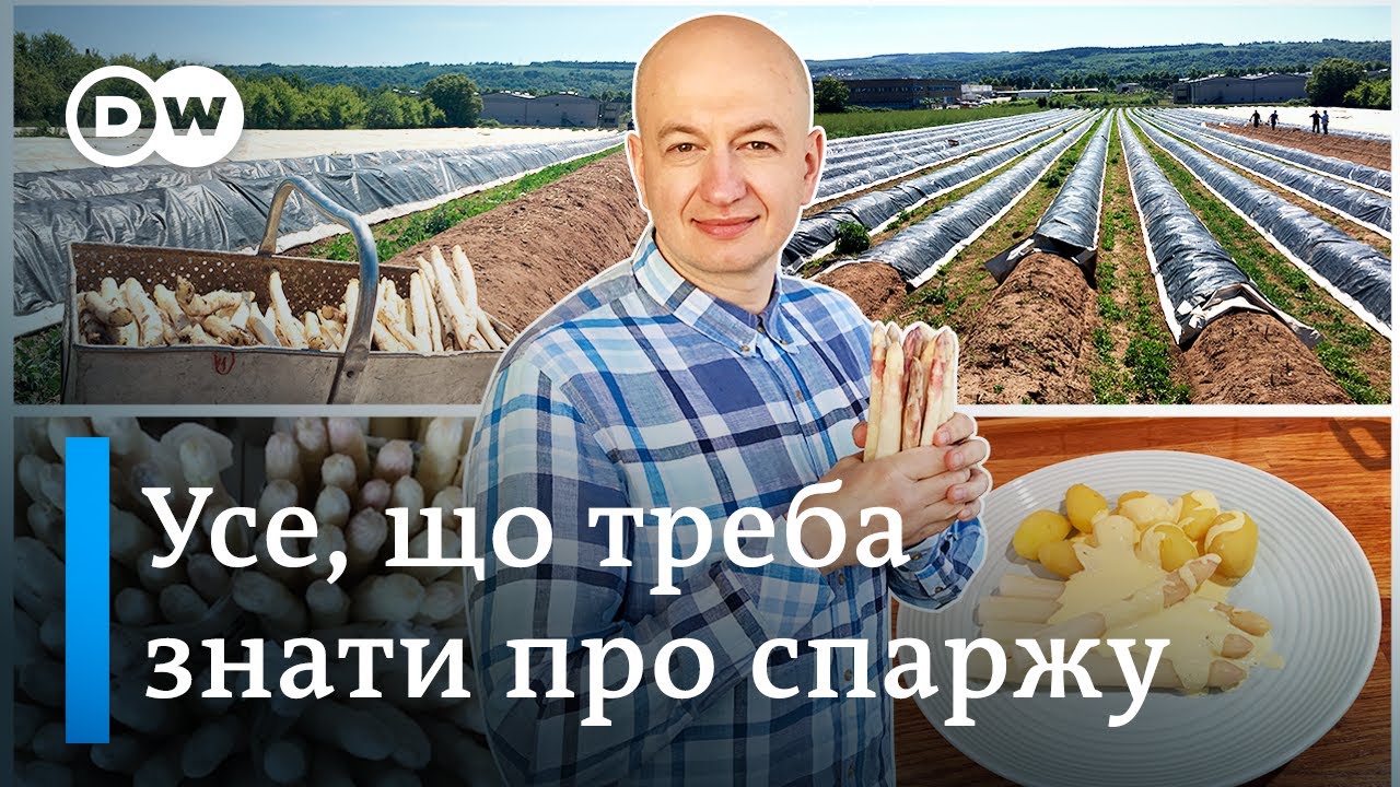 Спаржа по-німецьки: як вирощують, готують, їдять 