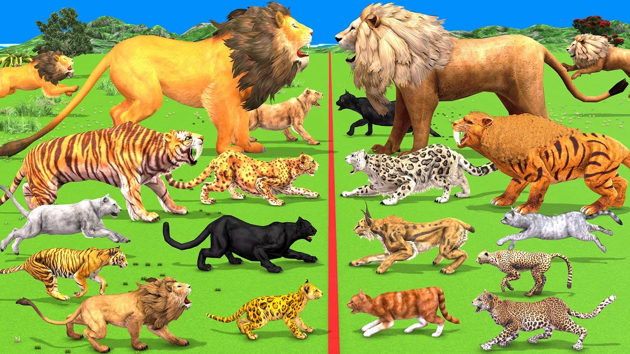 Animal Epic Battle  Prehistoric Big Cats VS Modern Big Cats Rumble Animal Revolt Battle Simulator