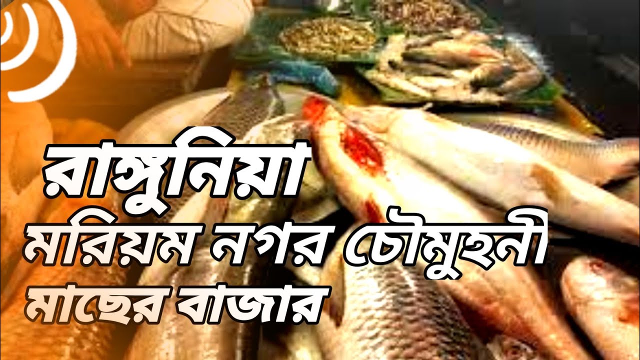 Rangunia Mariam Nagar Fish Market || রাঙ্গুনিয়া মরিয়ম নগর মাছের বাজার|| Chittagong, Bangladesh||