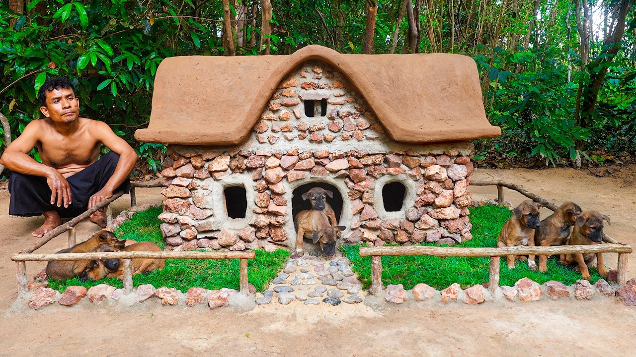 I Built a Beautiful Stone House for Rescued Puppies 🐶🏡 Jungle DIY Dream!