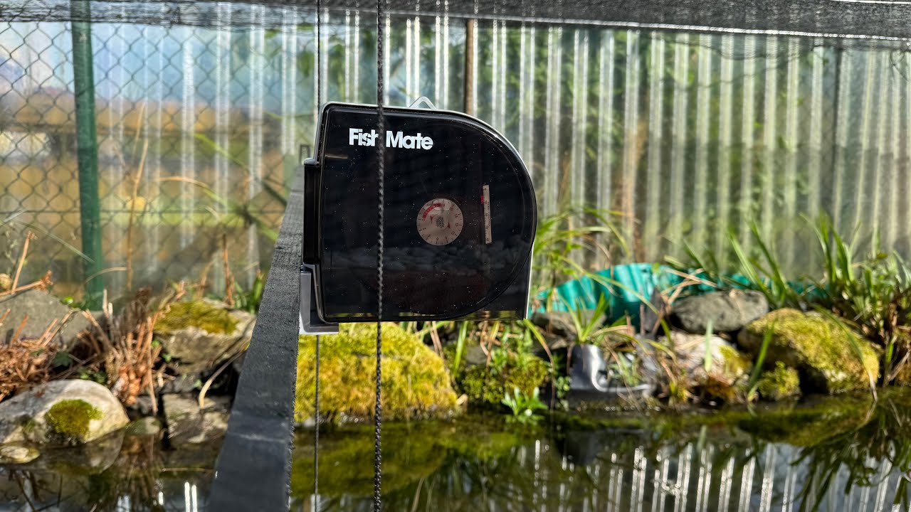 Fischfutter Automat Fish Mate 21 im Gartenteich