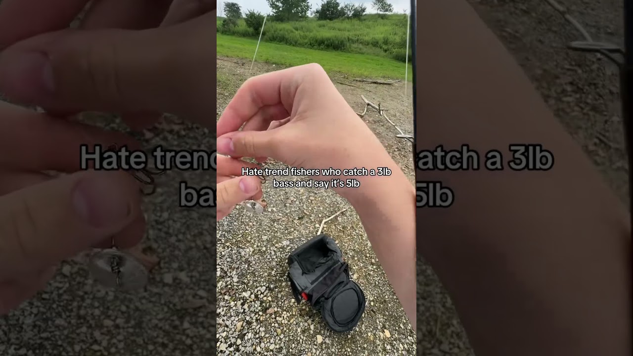 Subscribe #fishing #bassfish #fishingcontent #fishspecies #viral #freshwaterfish #fishboat #shorts