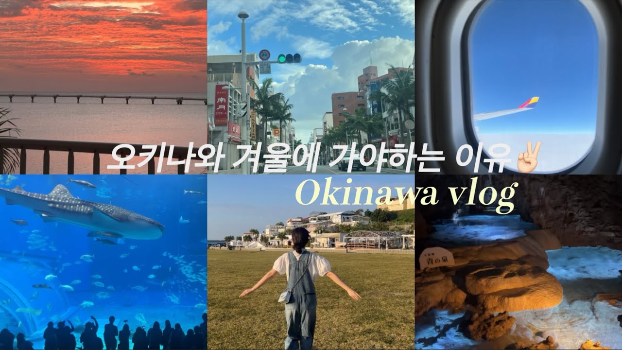 겨울 오키나와 가야하는 이유 VLOG 🎄 | 츄라우미 수족관🐳  | 코우리대교 🏝| 오키나와 월드 🌏 | 오키나와 국제거리🌴 | 시아와세 팬케이크