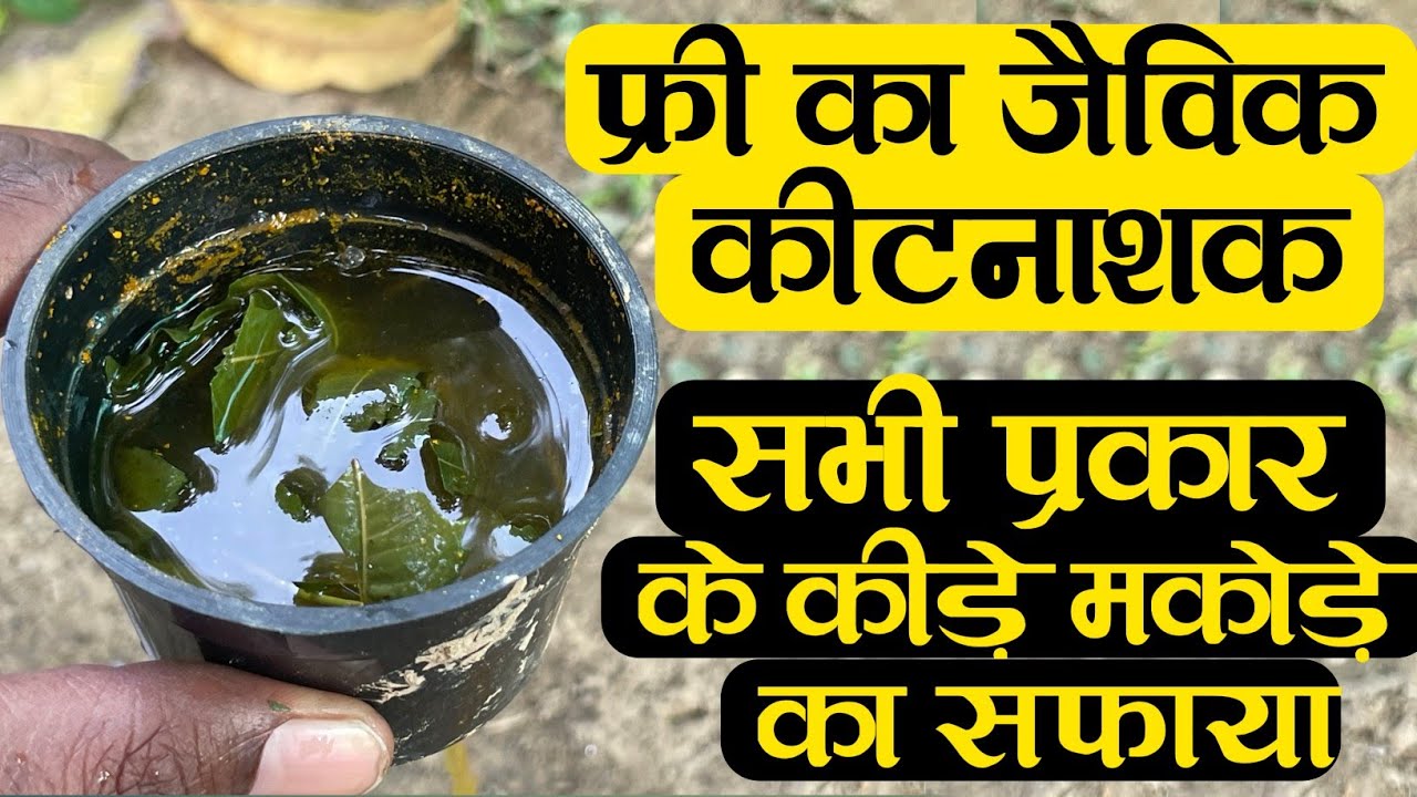 फ्री का जैविक कीटनाशक से सभी प्रकार के कीड़े मकोड़े का सफाया | Jaivik Kitnashak Kaise Banate Hain