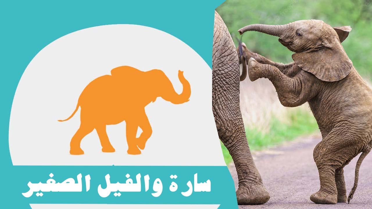 قصة سارة والفيل الصغير / بودكاست قبل النوم